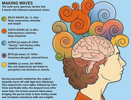 Εγκεφαλικά κύματα - Καταστάσεις Συνείδησης
